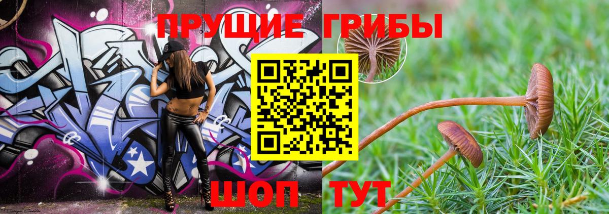 Галлюциногенные грибы GOLDEN TEACHER  Вход с VPN  магазин продажи   Строитель 