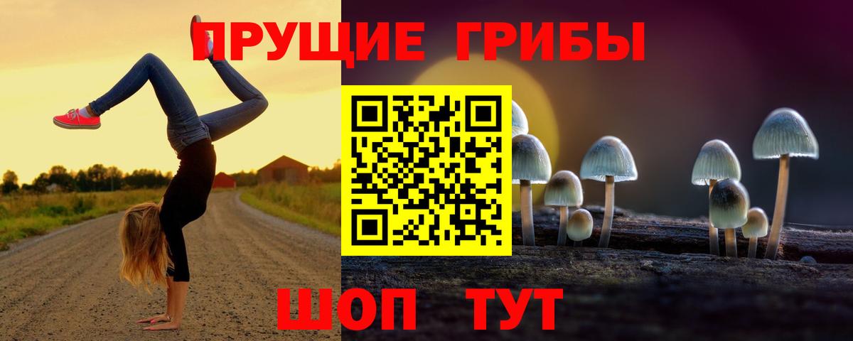 Псилоцибиновые грибы мухоморы Строитель